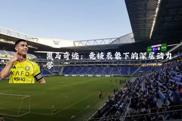 黑马奇迹：竞技表象下的深层动力学